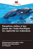 Dauphins mâles à bec jaune de l'Indo-Pacifique en captivité en Indonésie Dauphins mâles à bec jaune de l'Indo-Pacifique en captivité en Indonésie