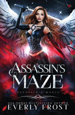 Cover Assassin's Maze