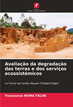 Cover Avaliação da degradação das terras e dos serviços ecossistémicos