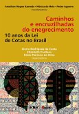 Caminhos e encruzilhadas do enegrecimento (eBook, ePUB)