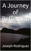 A Journey of Reflections (eBook, ePUB)