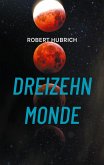 Dreizehn Monde (eBook, ePUB)