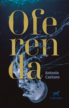 Oferenda (eBook, ePUB) - Caetano, Antonio