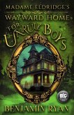 Madame Eldridge's Wayward Home for Unruly Boys (eBook, ePUB)