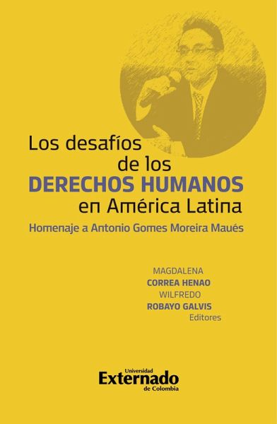 Los Desafios de los derechos humanos en América Latina (eBook, PDF)