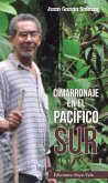 Cimarronaje en el Pacífico Sur (eBook, PDF)