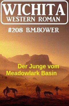 Cover Der Junge vom Meadowlark Basin: Wichita Western Roman 208 (eBook, ePUB)