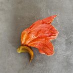 intermitências apenas (eBook, ePUB)