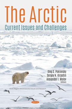 Arctic: Current Issues and Challenges (eBook, PDF)