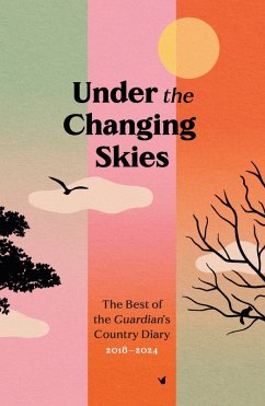 Cover Under the Changing Skies (eBook, ePUB)