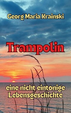 Cover Trampolin (eBook, ePUB)