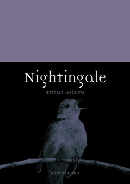 Nightingale (eBook, ePUB)