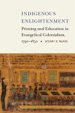 Indigenous Enlightenment (eBook, PDF)