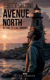 Thirty Second Avenue North (eBook, ePUB)