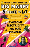 Awesome Electricity and Mad Magnets (eBook, ePUB)