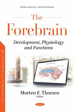 Forebrain: Development, Physiology and Functions (eBook, PDF)