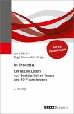 In Trouble. Ein Tag im Leben von Sozialarbeiter*innen aus 45 Praxisfeldern (eBook, PDF)