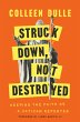 Struck Down, Not Destroyed (eBook, ePUB) - Bild 1