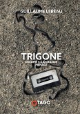 Trigone vol. 1 (eBook, ePUB)