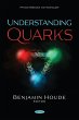 Understanding Quarks (eBook, PDF) - Bild 1