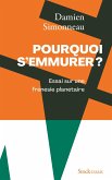 Pourquoi s'emmurer (eBook, ePUB) Pourquoi s'emmurer (eBook, ePUB)