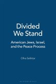 Divided We Stand (eBook, PDF)
