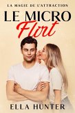 Le Micro Flirt (eBook, ePUB)