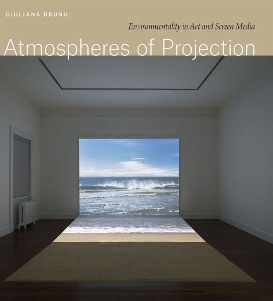 Atmospheres of Projection (eBook, ePUB)