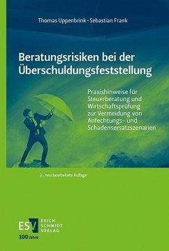 Beratungsrisiken bei der Überschuldungsfeststellung (eBook, PDF) - Frank, Sebastian; Uppenbrink, Thomas