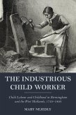 Industrious Child Worker (eBook, ePUB) Industrious Child Worker (eBook, ePUB)