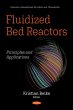 Fluidized Bed Reactors: Principles and... - Bild 1