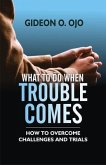 WHAT TO DO WHEN TROUBLE COMES (eBook, ePUB) WHAT TO DO WHEN TROUBLE COMES (eBook, ePUB)