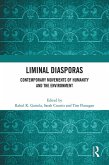 Liminal Diasporas (eBook, ePUB)