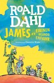 James a'r Eirinen Wlanog Enfawr (eBook, PDF) James a'r Eirinen Wlanog Enfawr (eBook, PDF)