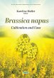 Brassica napus: Cultivation and Uses... - Bild 1