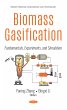 Biomass Gasification: Fundamentals,... - Bild 1