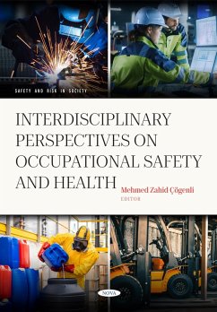 Interdisciplinary Perspectives on Occupational Safety and Health (eBook, PDF)