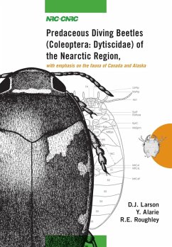Cover Predaceous Diving Beetles (Coleoptera (eBook, PDF)