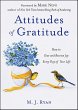 Attitudes of Gratitude (eBook, ePUB) - Bild 1