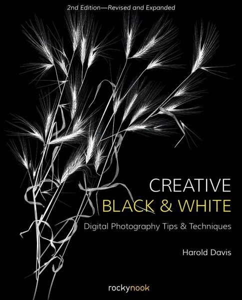 Creative Black and White (eBook, PDF)