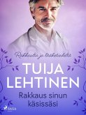 Rakkaus sinun käsissäsi (eBook, ePUB)