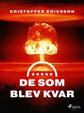 De som blev kvar (eBook, ePUB)