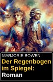 Der Regenbogen im Spiegel: Roman (eBook, ePUB)