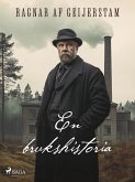 En brukshistoria (eBook, ePUB)
