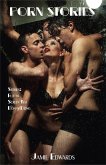Porn Stories (eBook, ePUB)