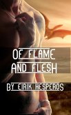 Of Flame and Flesh (eBook, ePUB)