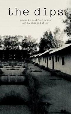 Cover The Dips (eBook, ePUB)