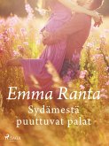 Sydämestä puuttuvat palat (eBook, ePUB)