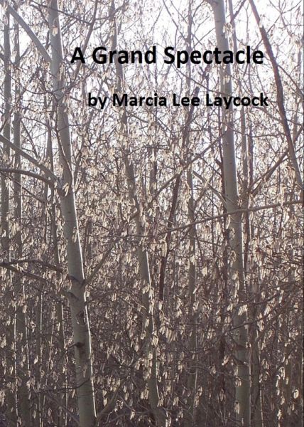 A Grand Spectacle (eBook, ePUB) A Grand Spectacle (eBook, ePUB)