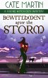 Bewitchment after the Storm (The Viking... - Bild 1